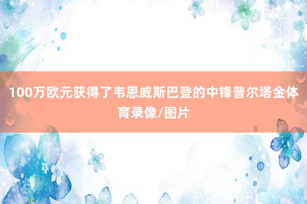 100万欧元获得了韦恩威斯巴登的中锋普尔塔金体育录像/图片